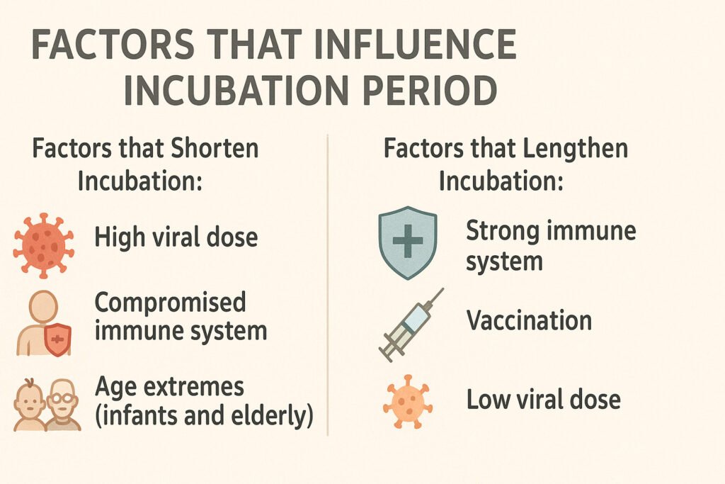 What Is the Incubation Stage of Infection? A Simple Guide 4 image 12