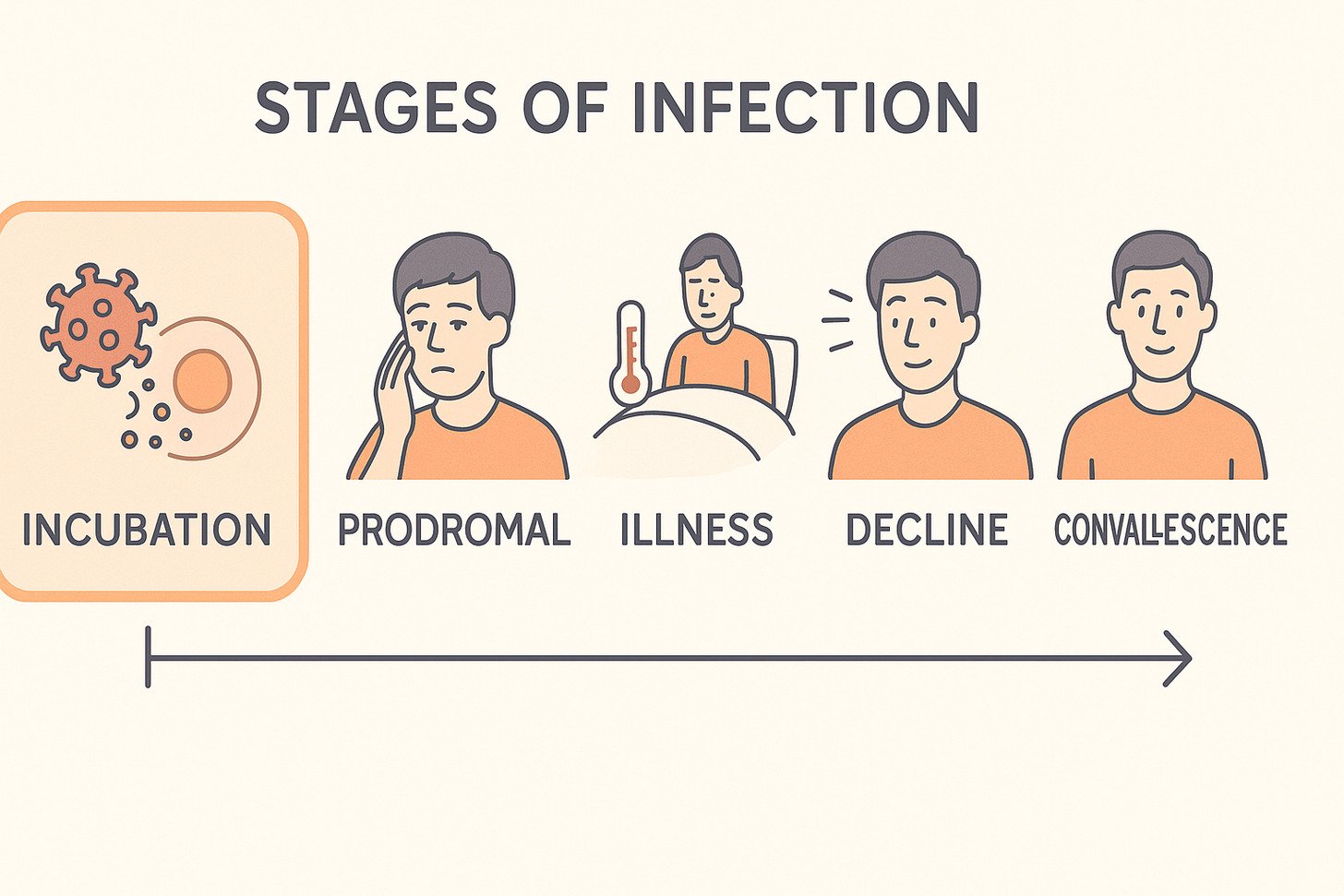 Stages of infection
