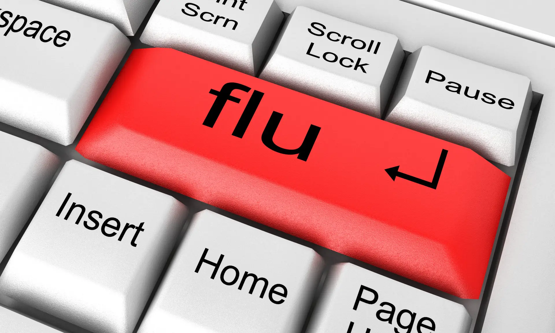 PA flu scaled