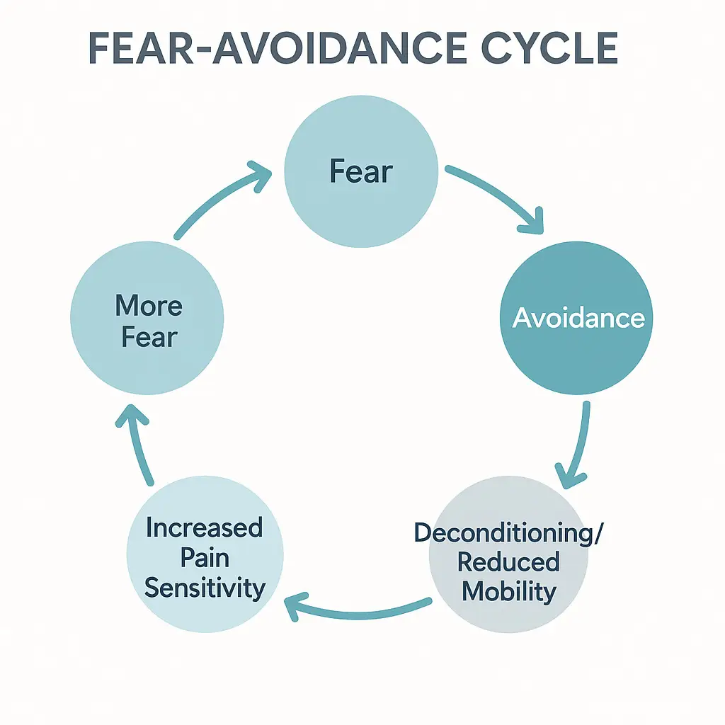 Overcoming Fear of Movement: How to Break the Cycle of Chronic Pain with PRT 2 The fear avoidance cycle illustrated